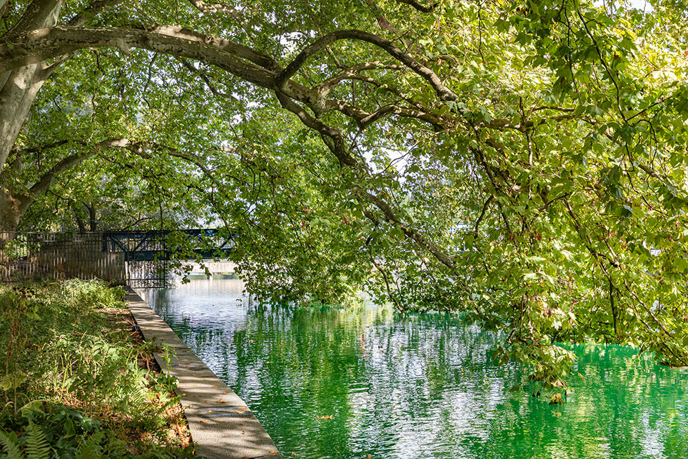 Platzspitz Park, Limmat, Zurich © Karin Bürki. Explore more on Heartbrut.com
