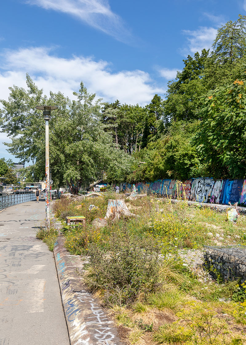 Lettenkanal, Oberer Letten, Wild Garden, Graffiti Wall, Zurich. © Karin Bürki. Heartbrut.com