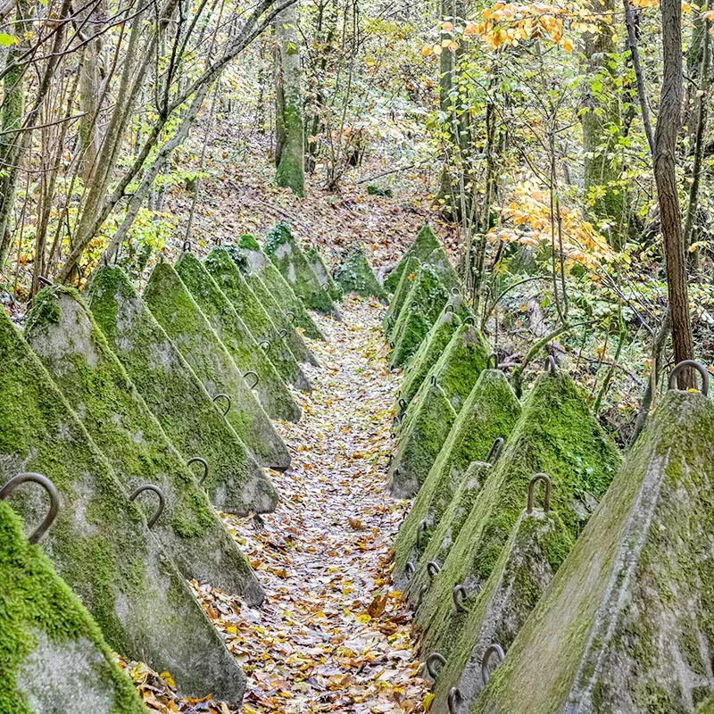Sentier des toblerones, Bassins-Nyon, Vaud, Ancienne ligne antichars de la deuxième guerre mondiale. Plus sur Heartbrut.com